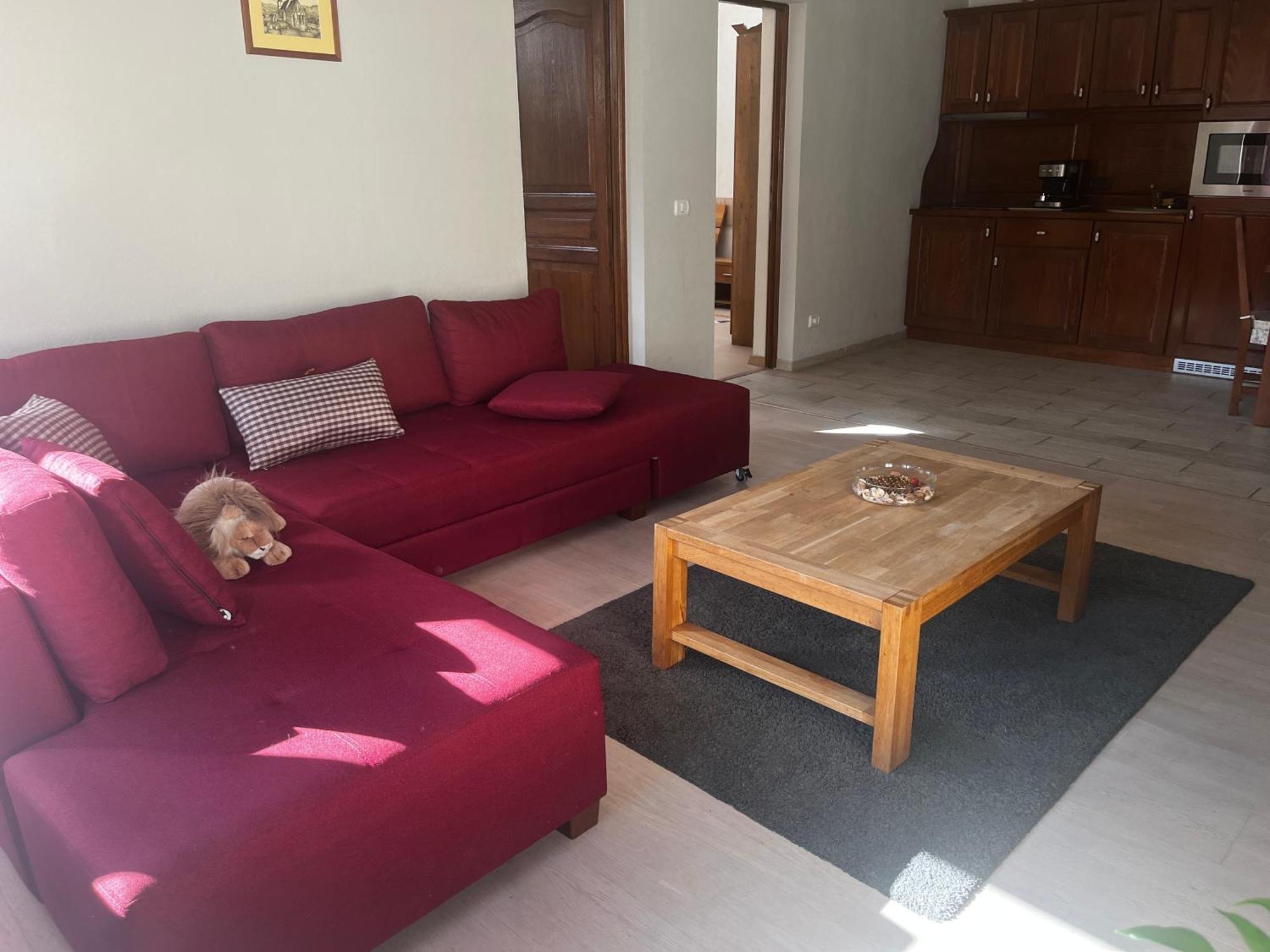 Cozy Apartment Брашов Екстер'єр фото