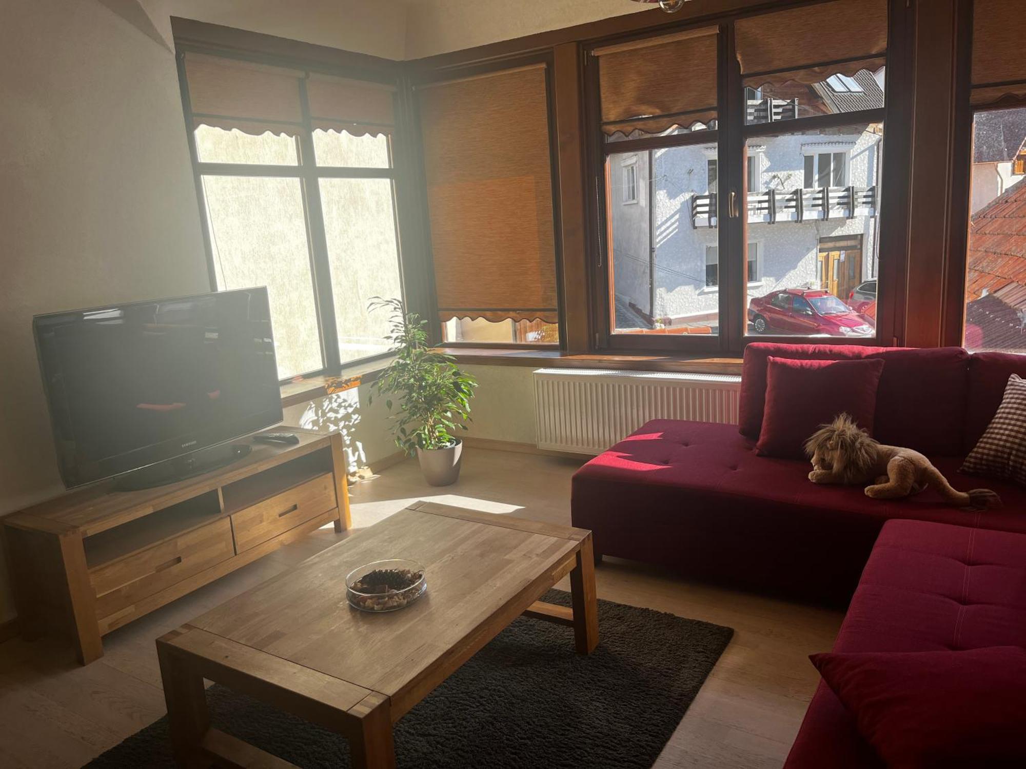 Cozy Apartment Брашов Екстер'єр фото